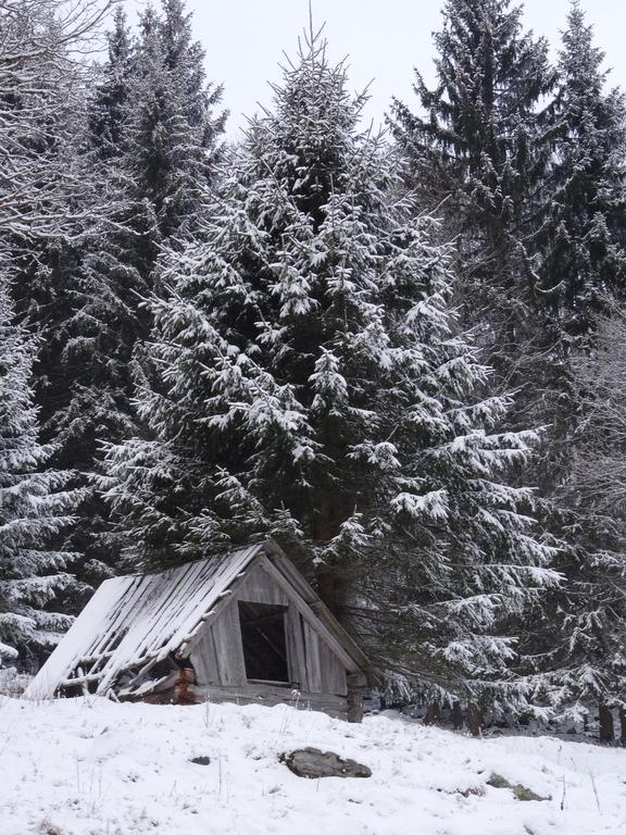 Rojerhof Villa Schladming Kültér fotó