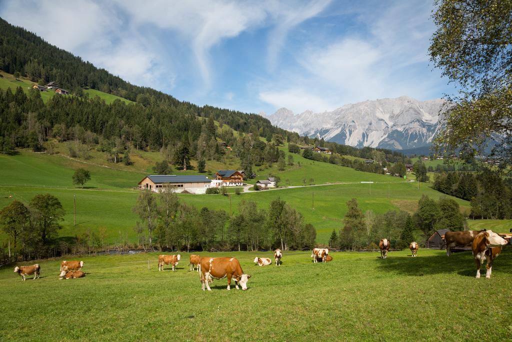 Rojerhof Villa Schladming Kültér fotó
